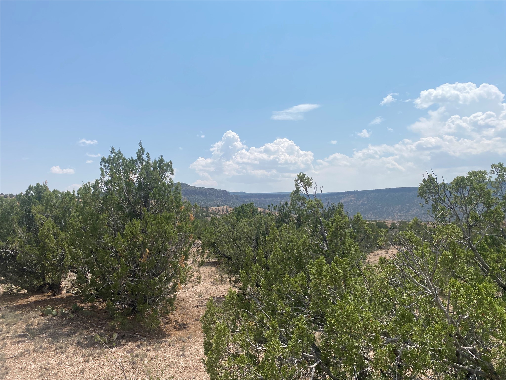 Near Kalitaya Way, Santa Fe, New Mexico image 14