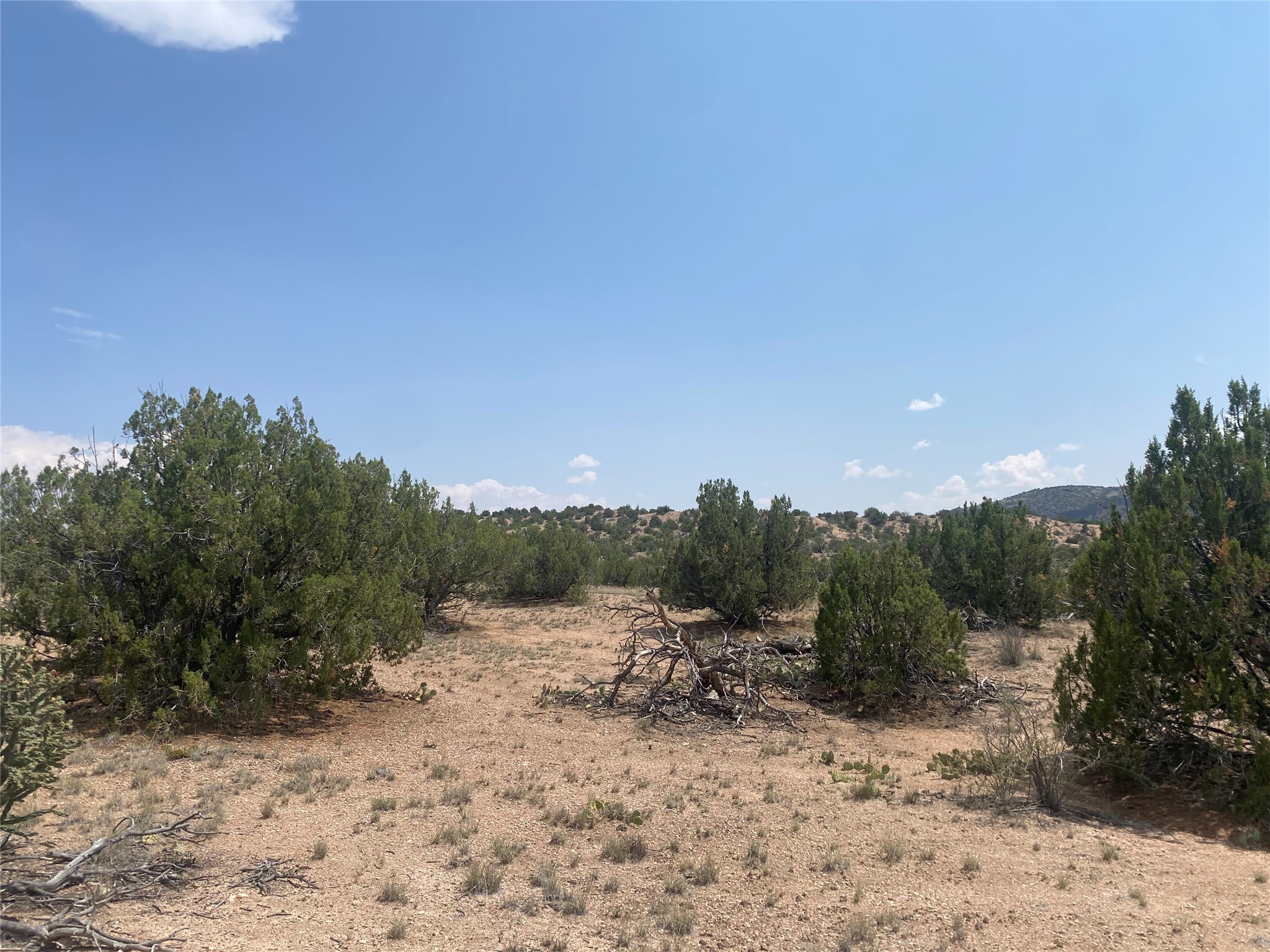 Near Kalitaya Way, Santa Fe, New Mexico image 25
