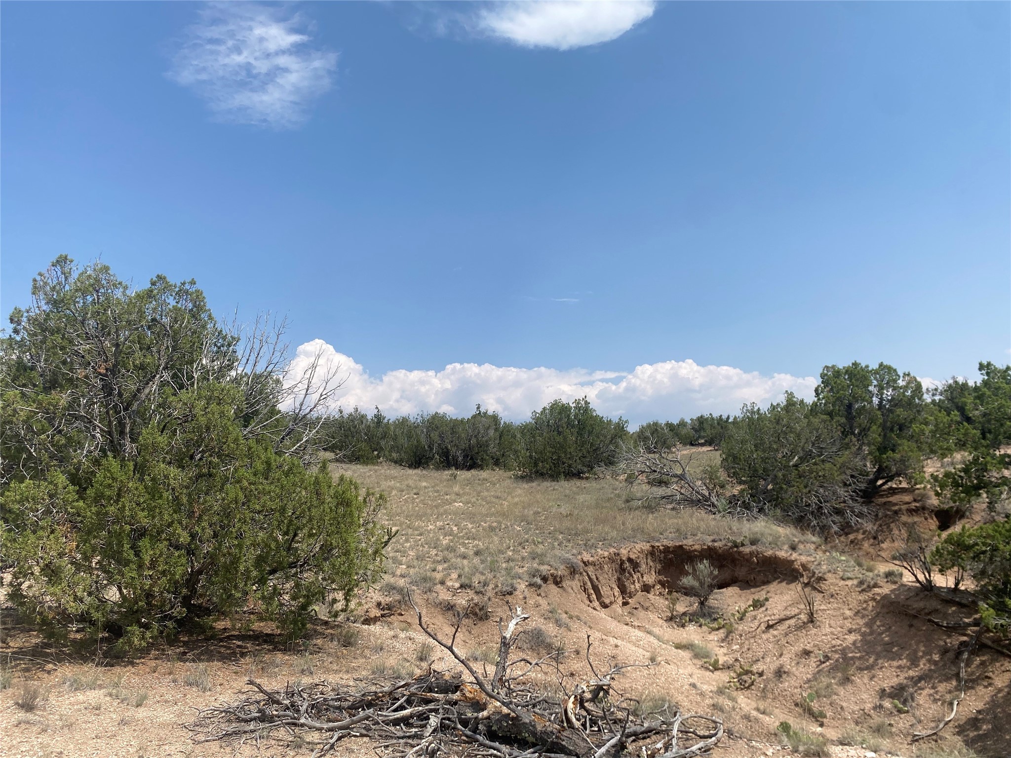 Near Kalitaya Way, Santa Fe, New Mexico image 21