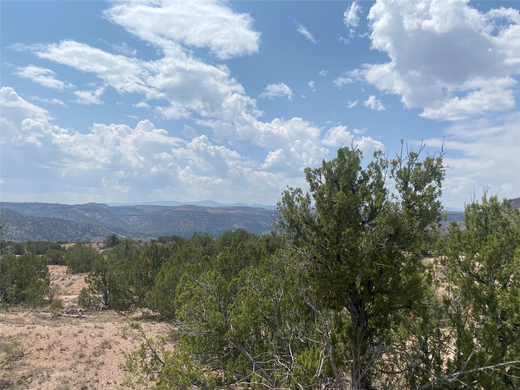 Near Kalitaya Way, Santa Fe, New Mexico image 16