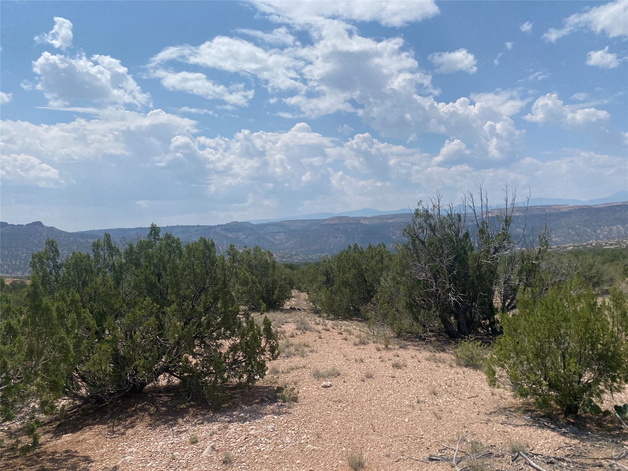 Near Kalitaya Way, Santa Fe, New Mexico image 15