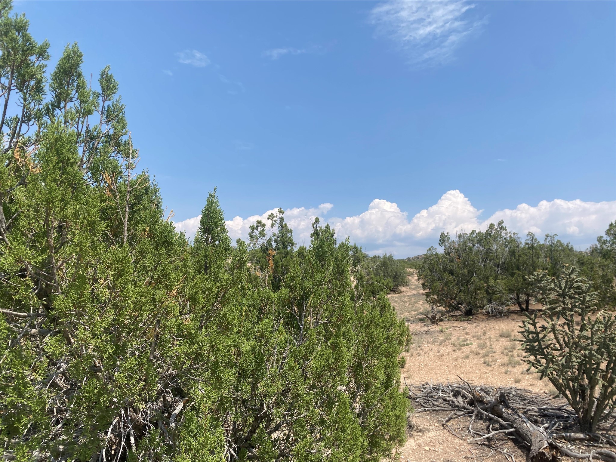 Near Kalitaya Way, Santa Fe, New Mexico image 27