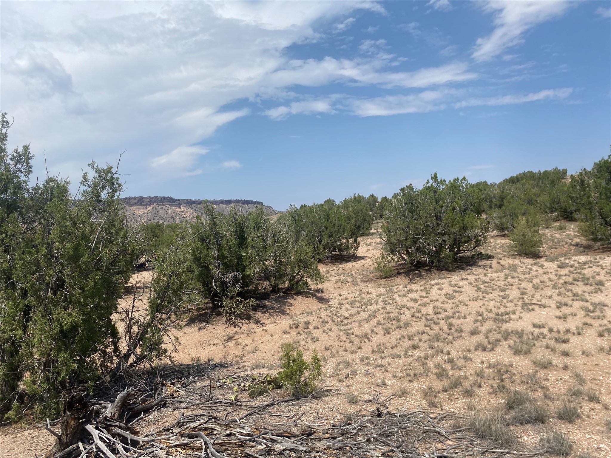 Near Kalitaya Way, Santa Fe, New Mexico image 18