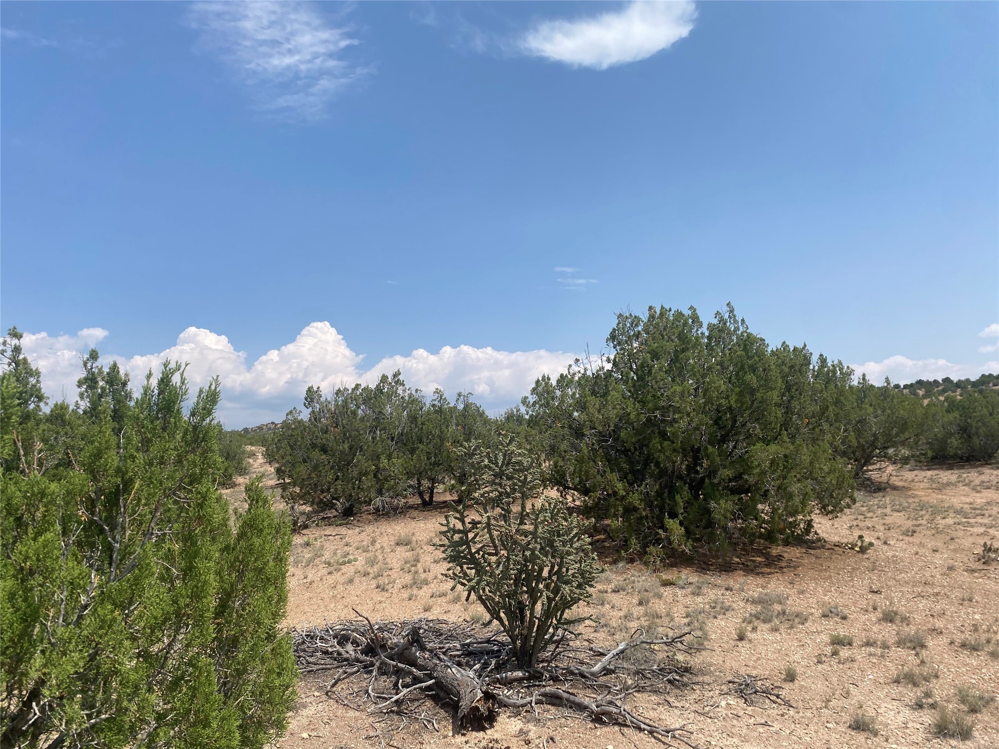 Near Kalitaya Way, Santa Fe, New Mexico image 26