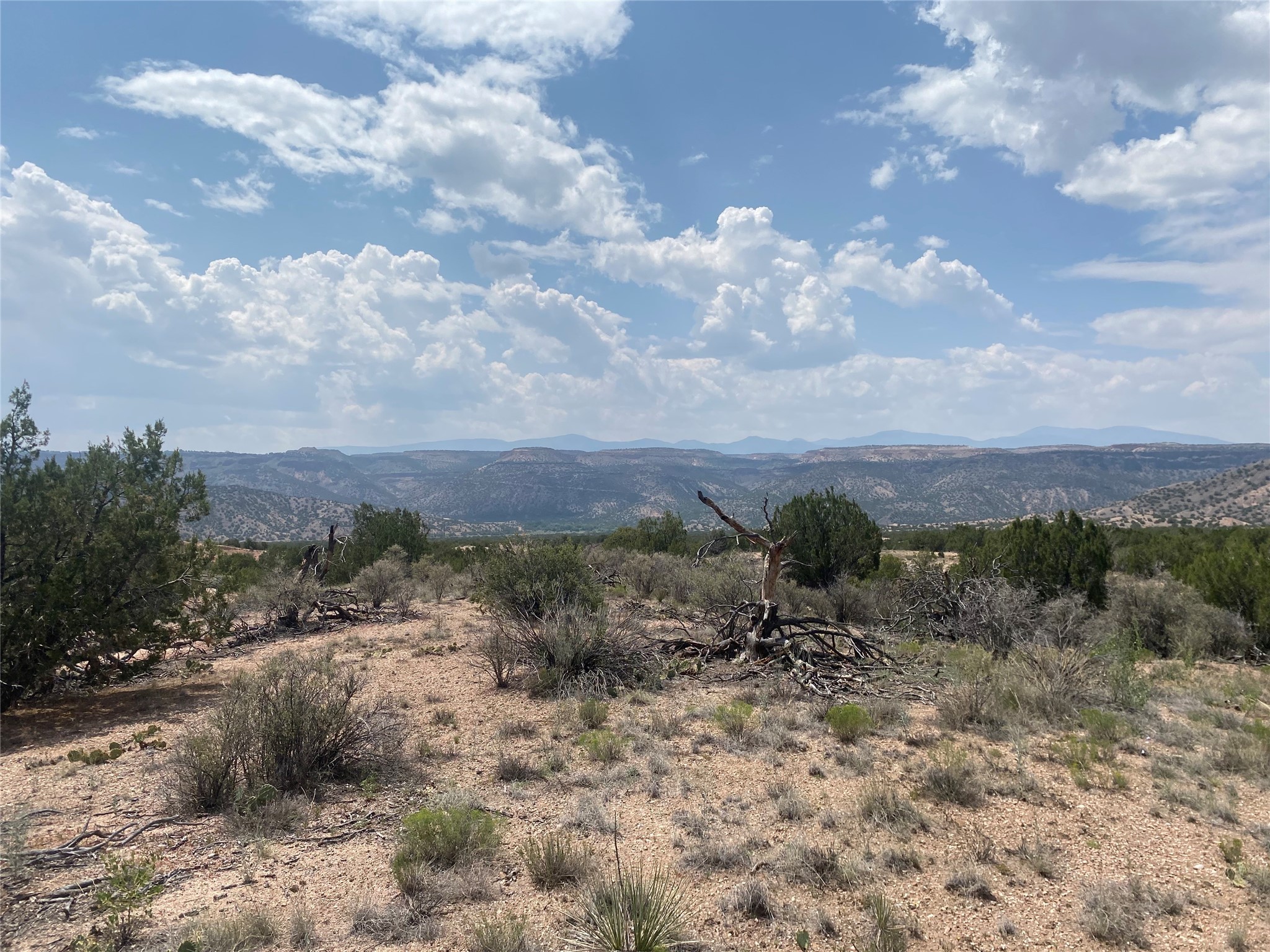 Near Kalitaya Way, Santa Fe, New Mexico image 22