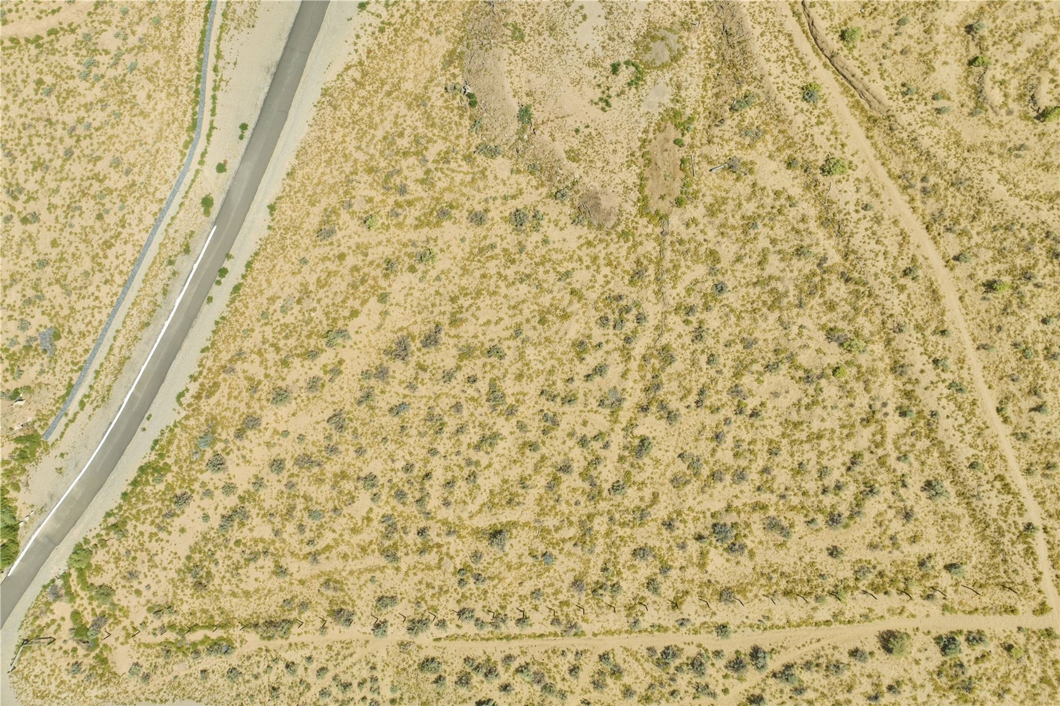1535 Sagebrush Drive, Corrales, New Mexico image 4