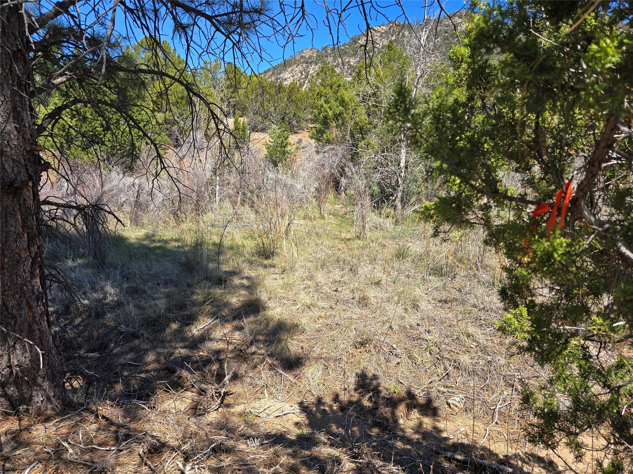 17 Sena Lane, Santa Fe, New Mexico image 9