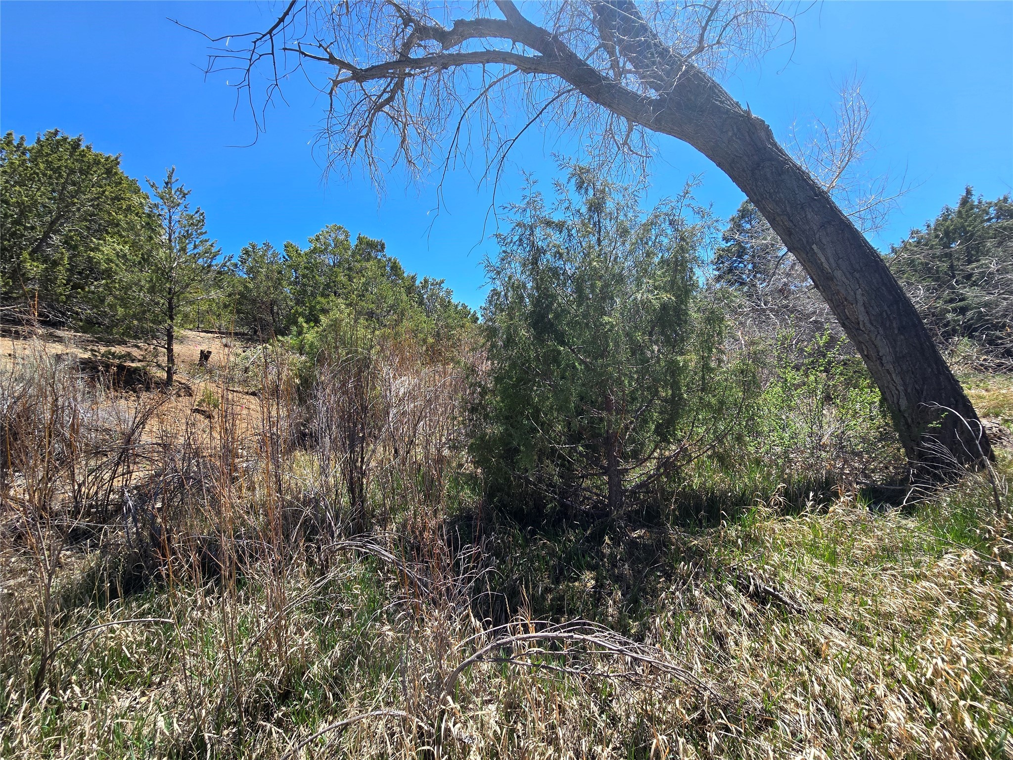 17 Sena Lane, Santa Fe, New Mexico image 18