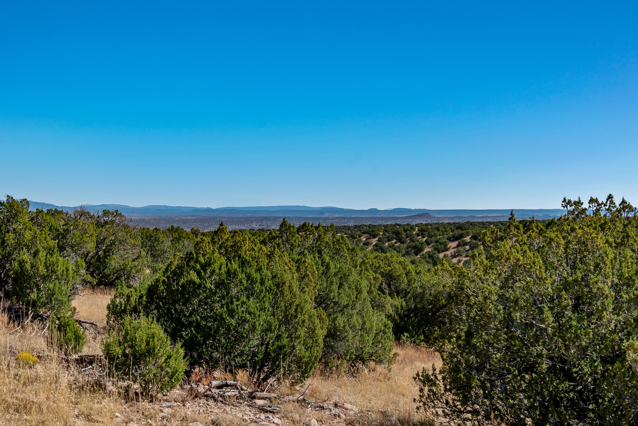 72 Silver Spur Trl, Cerrillos, New Mexico image 6