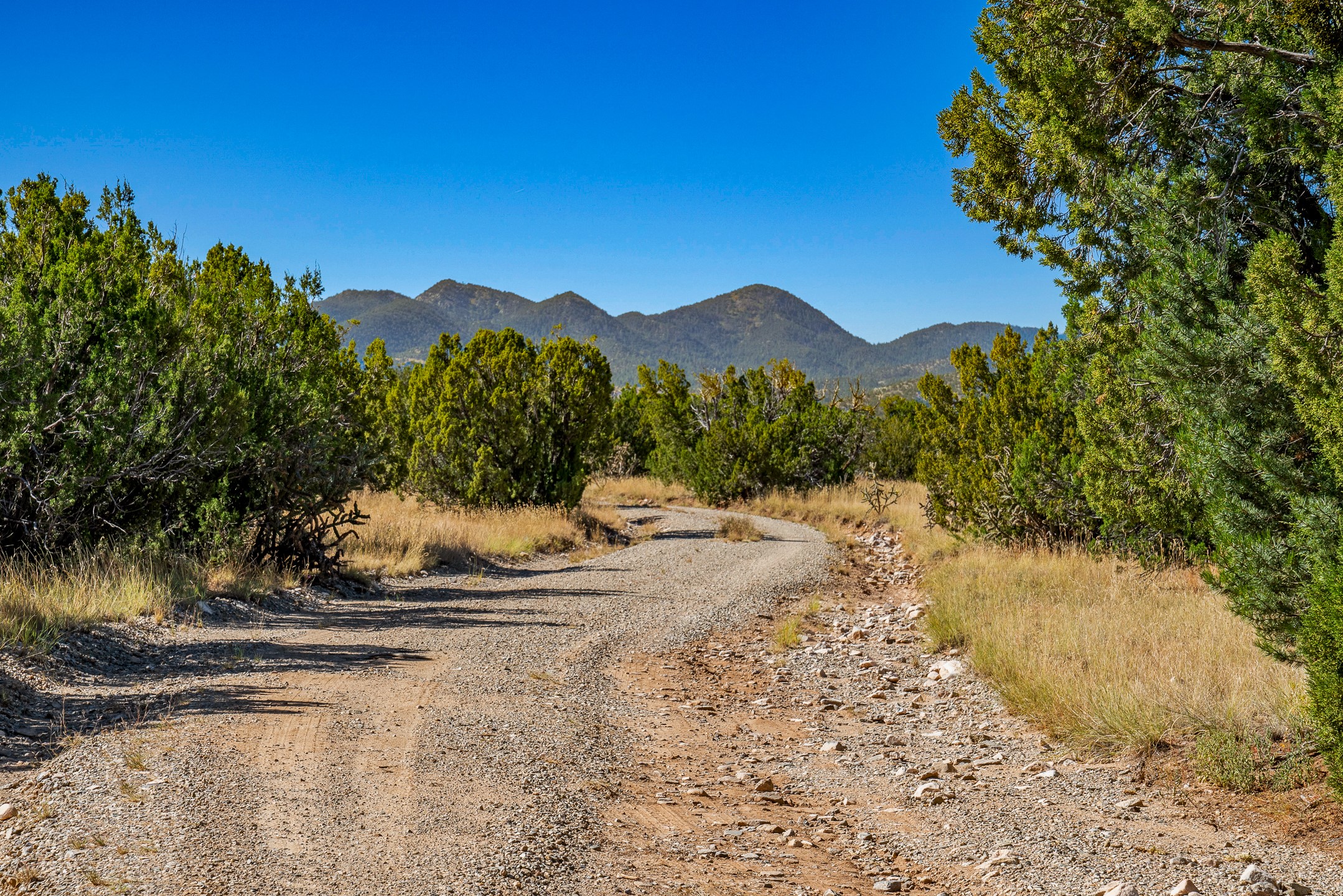 72 Silver Spur Trl, Cerrillos, New Mexico image 13