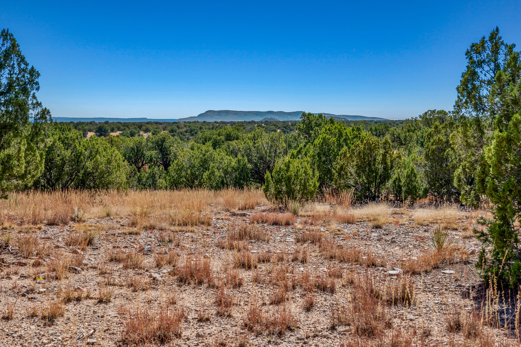 72 Silver Spur Trl, Cerrillos, New Mexico image 8