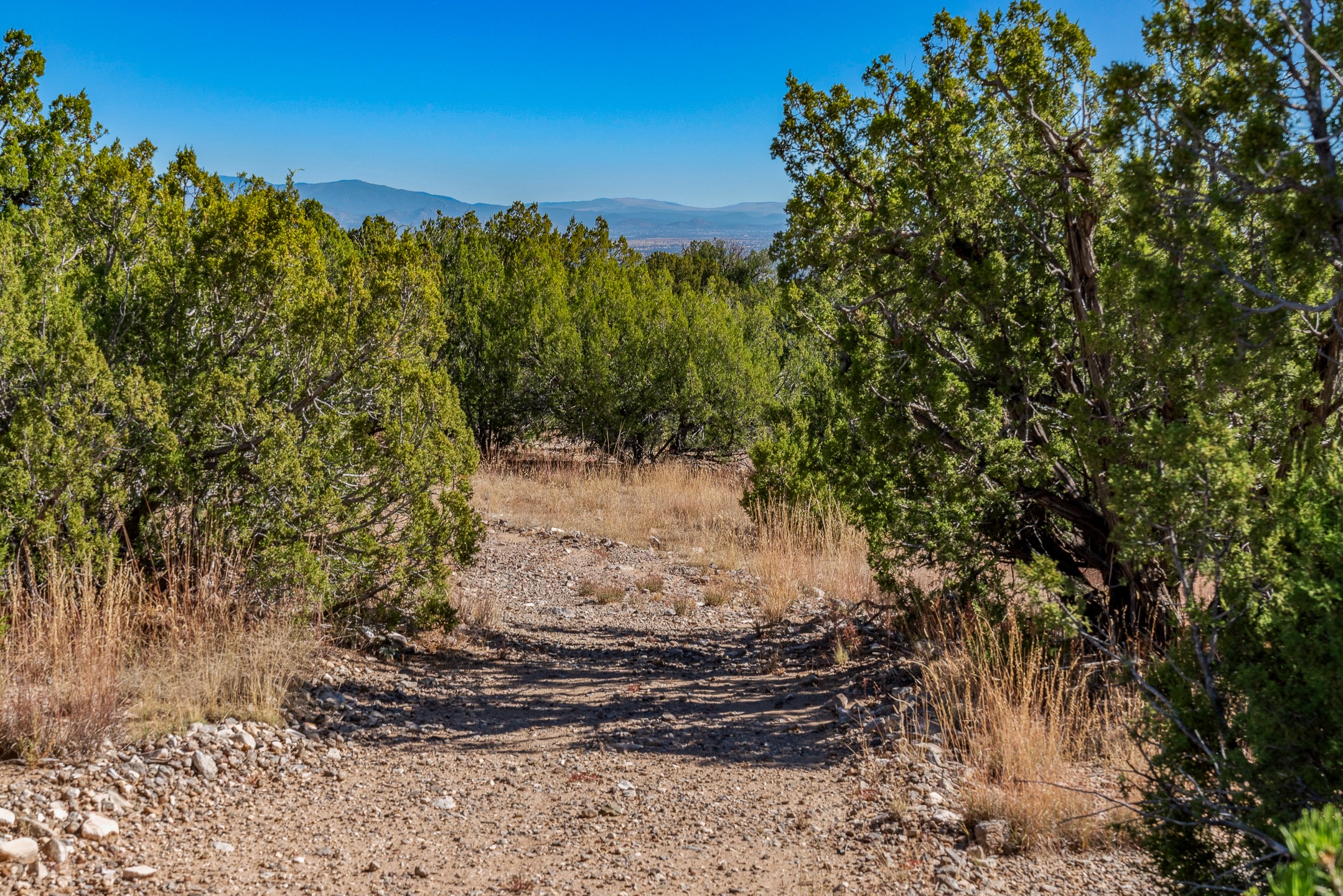 72 Silver Spur Trl, Cerrillos, New Mexico image 3