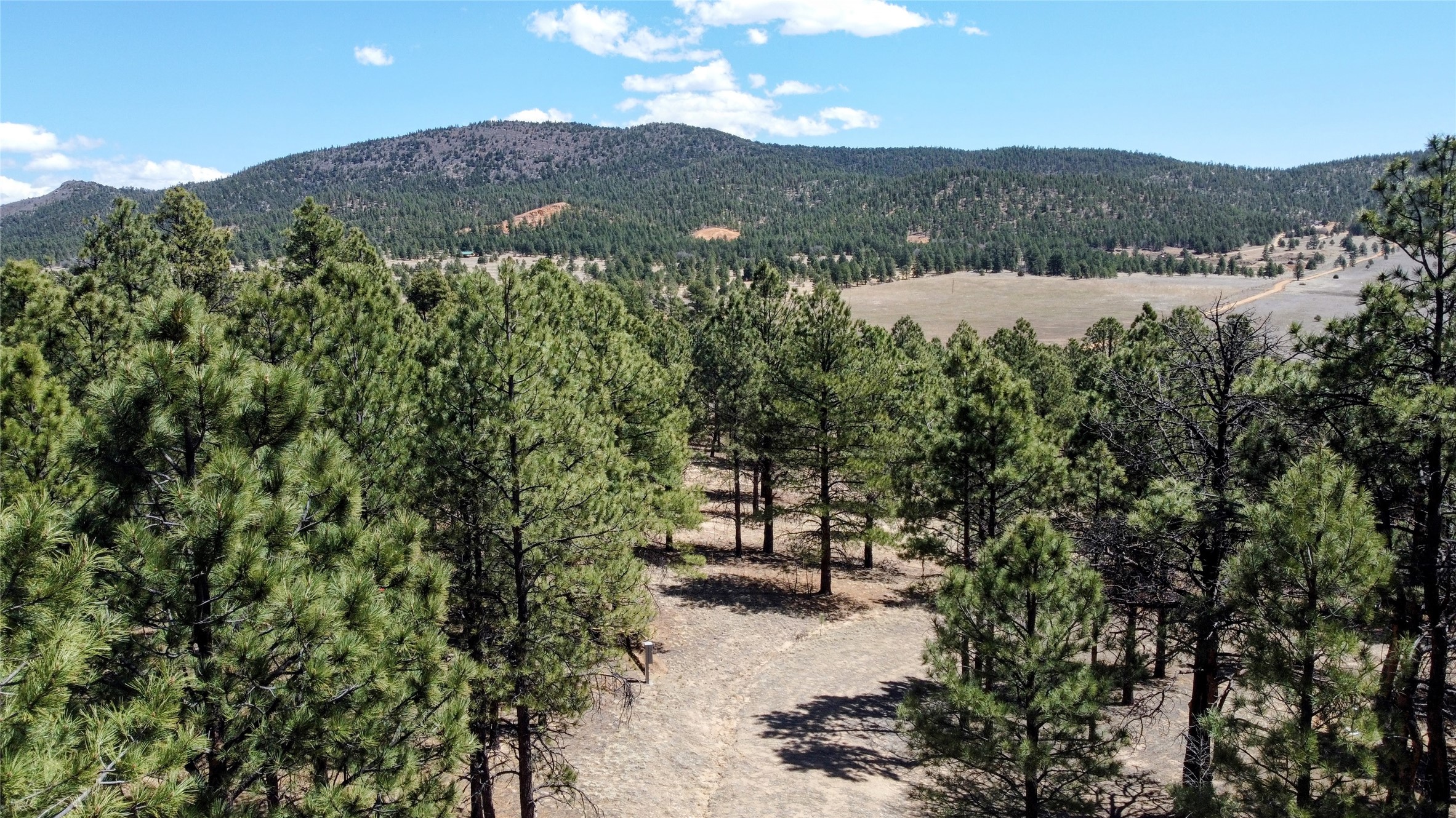 00 Nm 434, Mora, New Mexico image 4