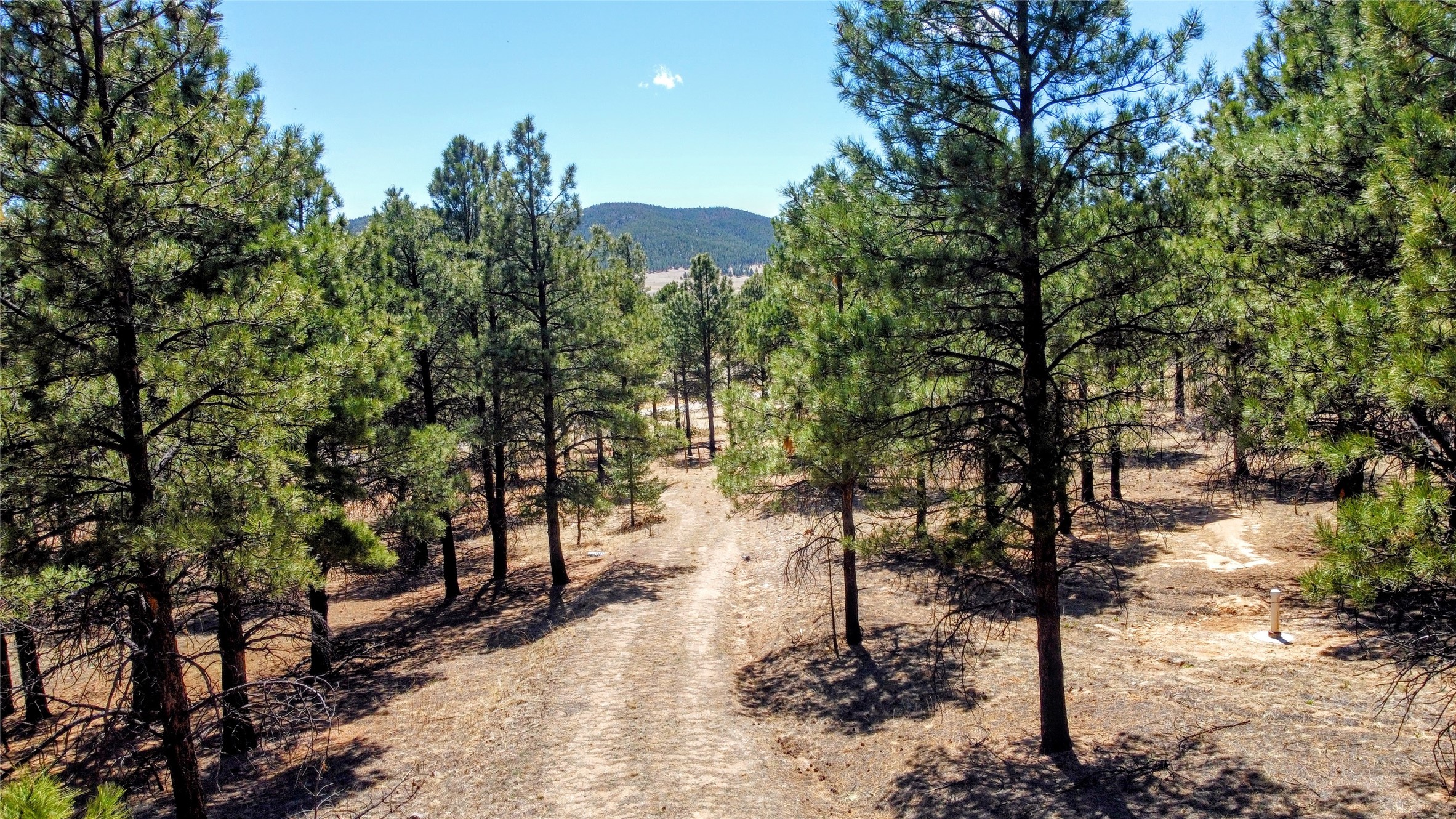 00 Nm 434, Mora, New Mexico image 5