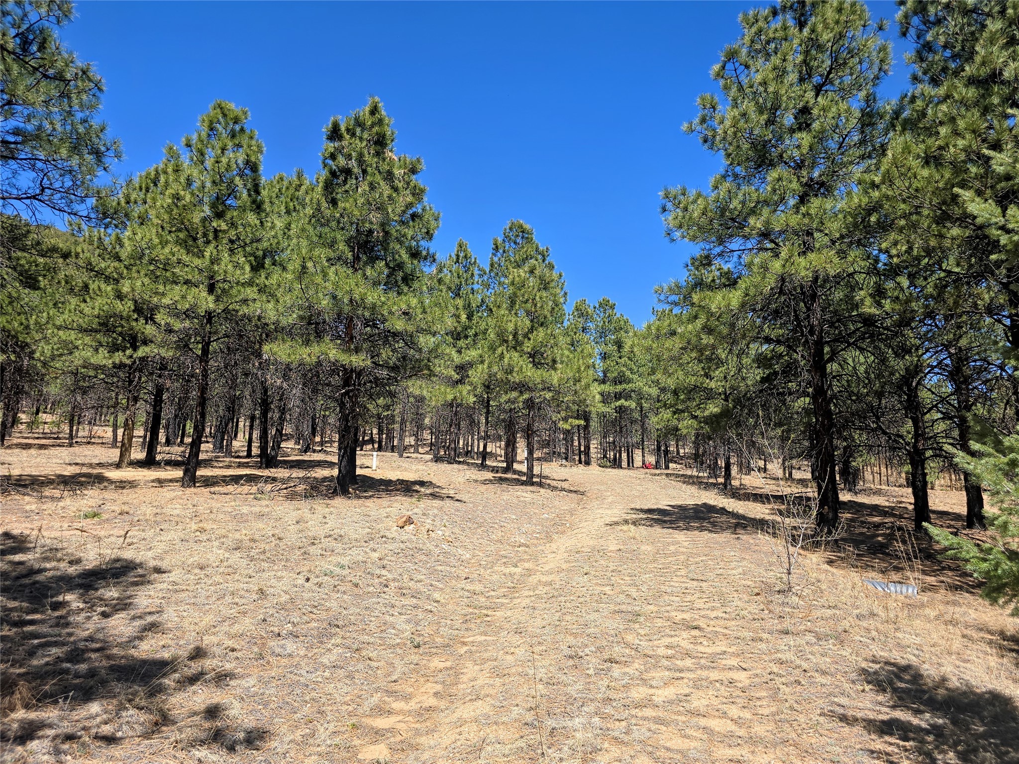 00 Nm 434, Mora, New Mexico image 6