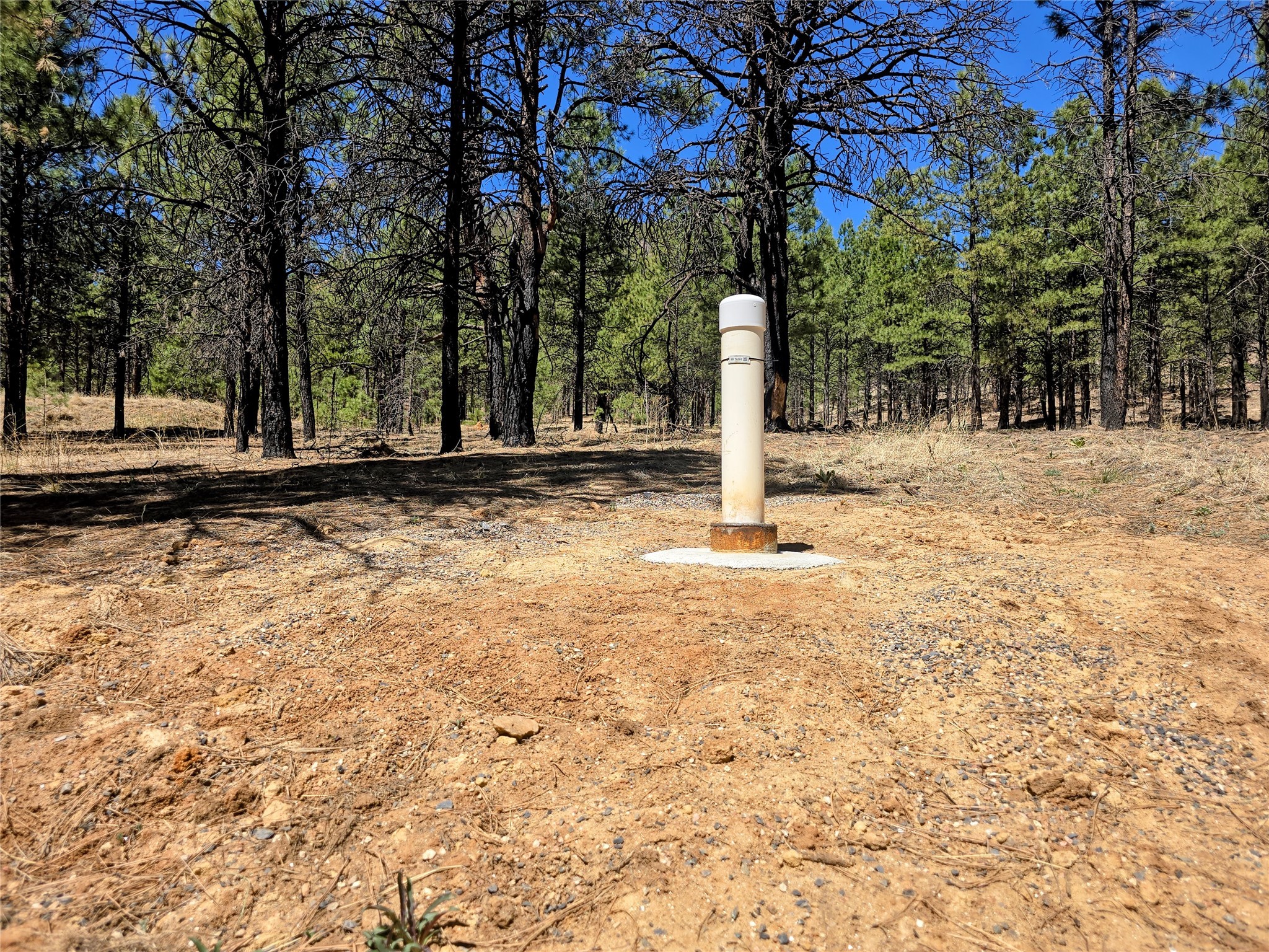 00 Nm 434, Mora, New Mexico image 9