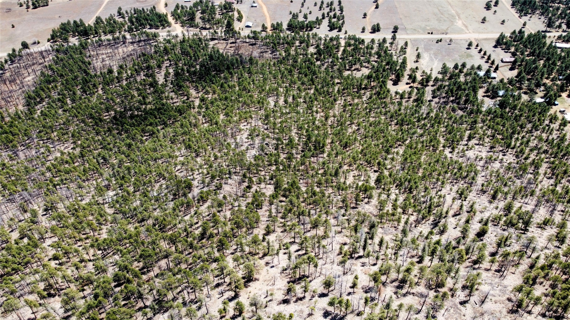 00 Nm 434, Mora, New Mexico image 13