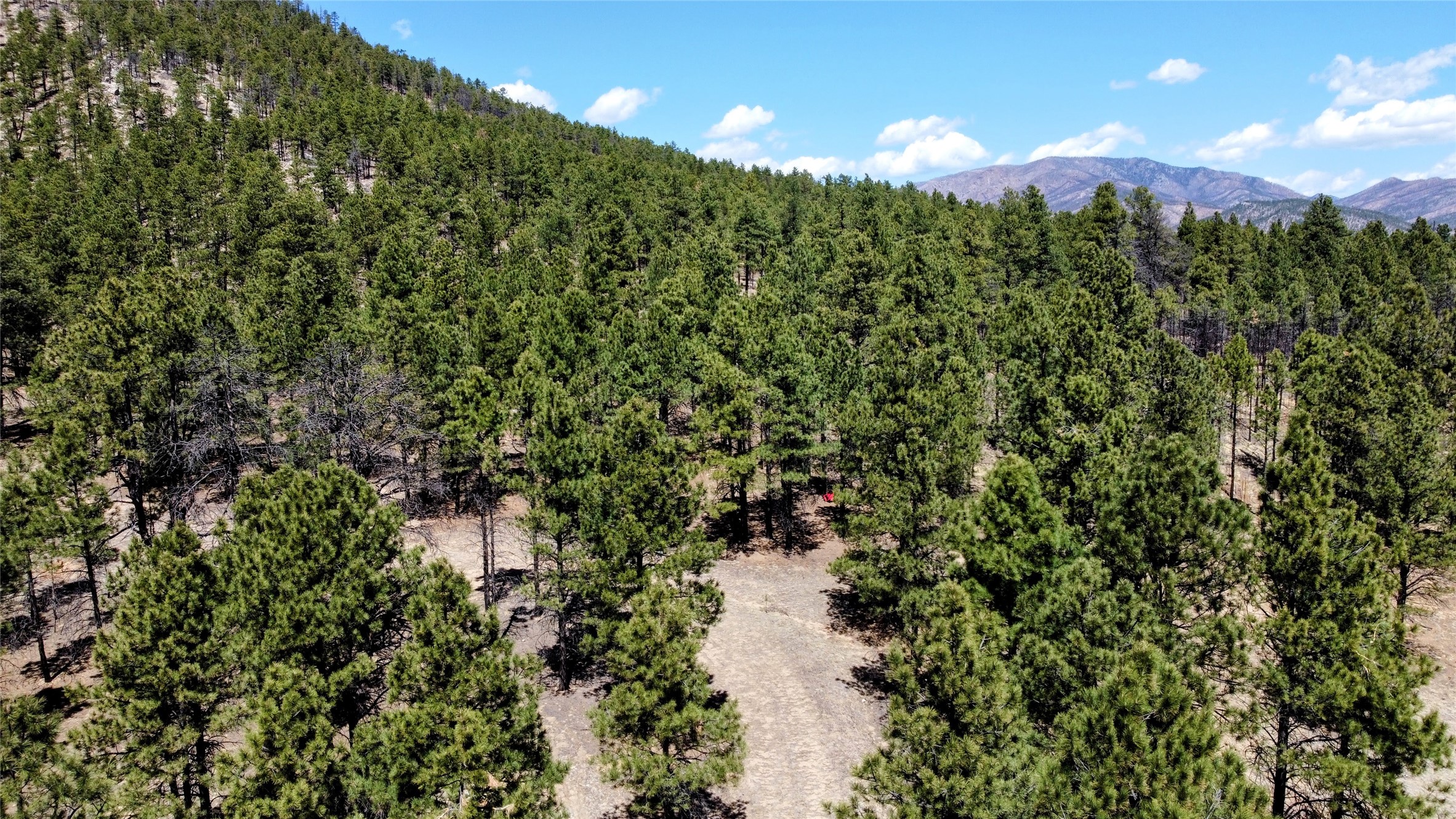 00 Nm 434, Mora, New Mexico image 3