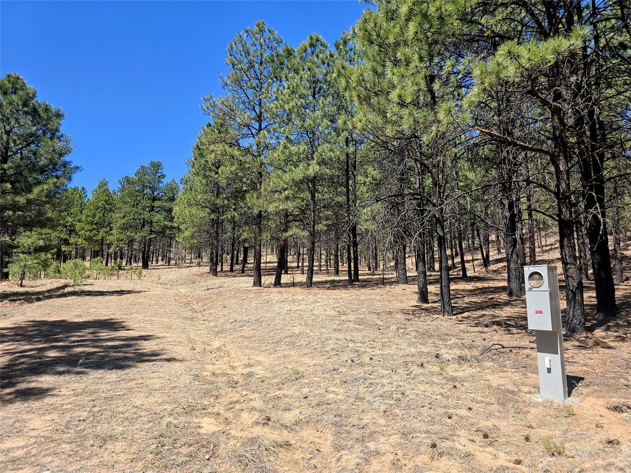 00 Nm 434, Mora, New Mexico image 10
