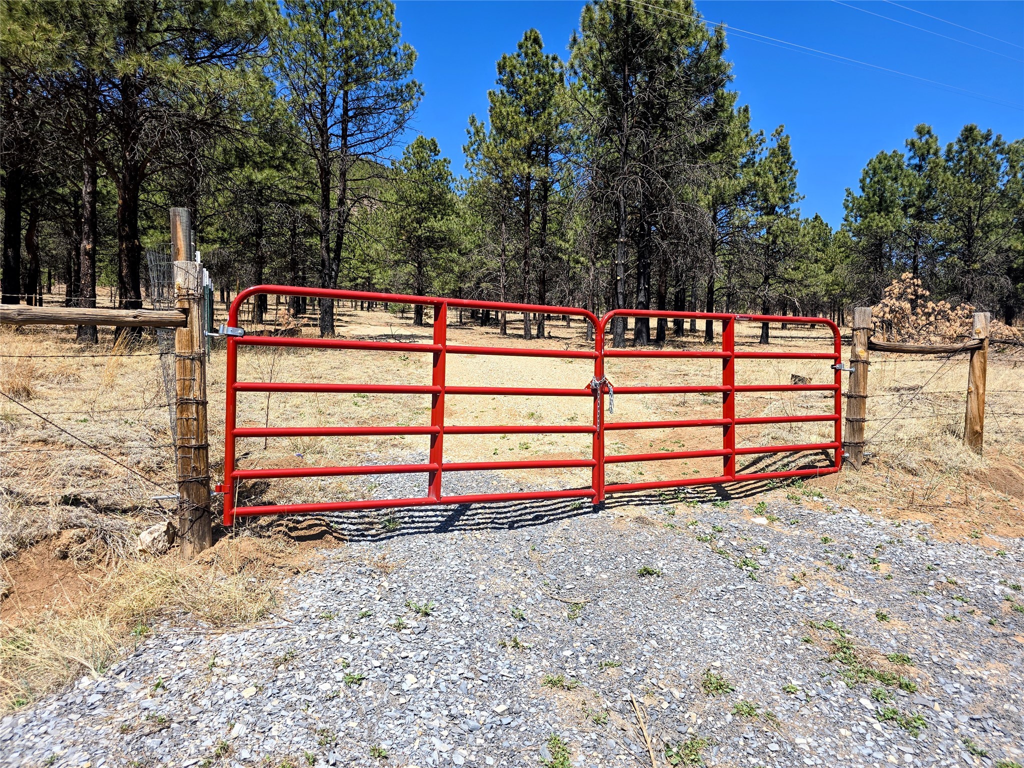 00 Nm 434, Mora, New Mexico image 8