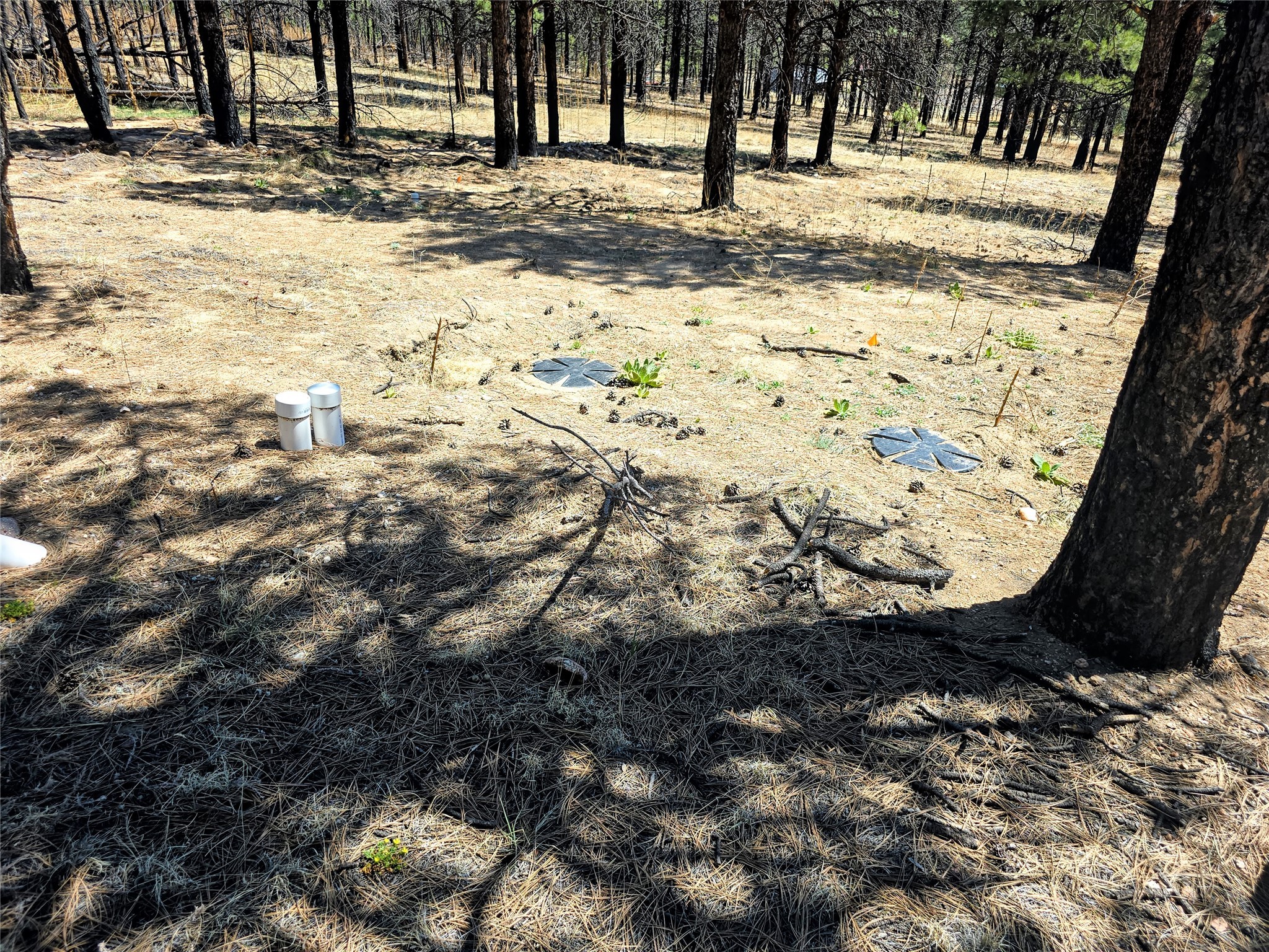 00 Nm 434, Mora, New Mexico image 11