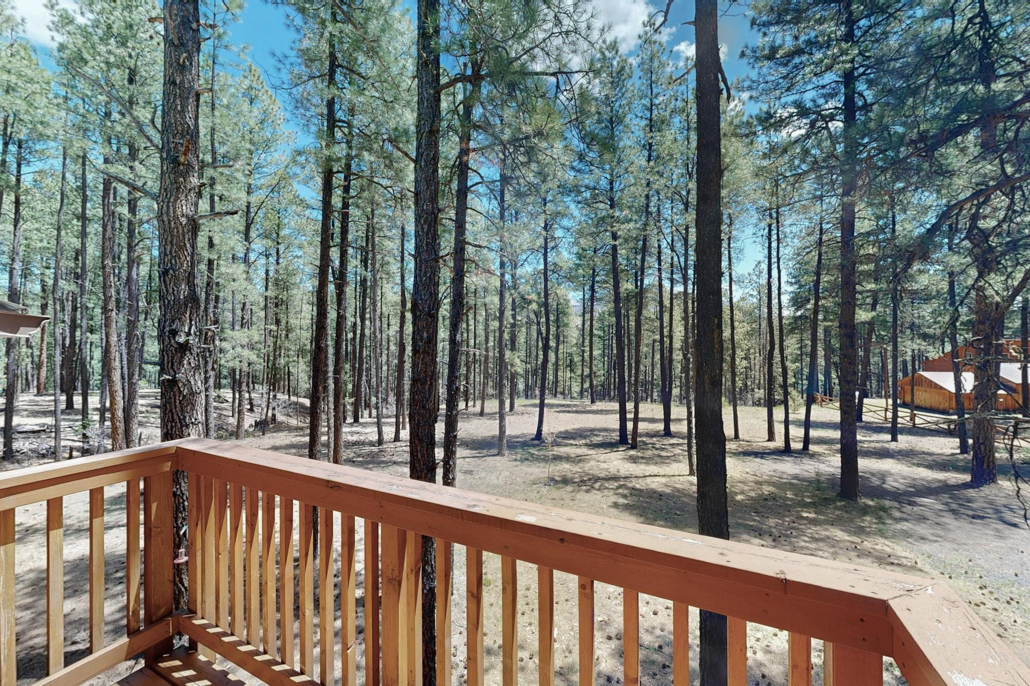 243 Ponderosa Place, Jemez Springs, New Mexico image 35