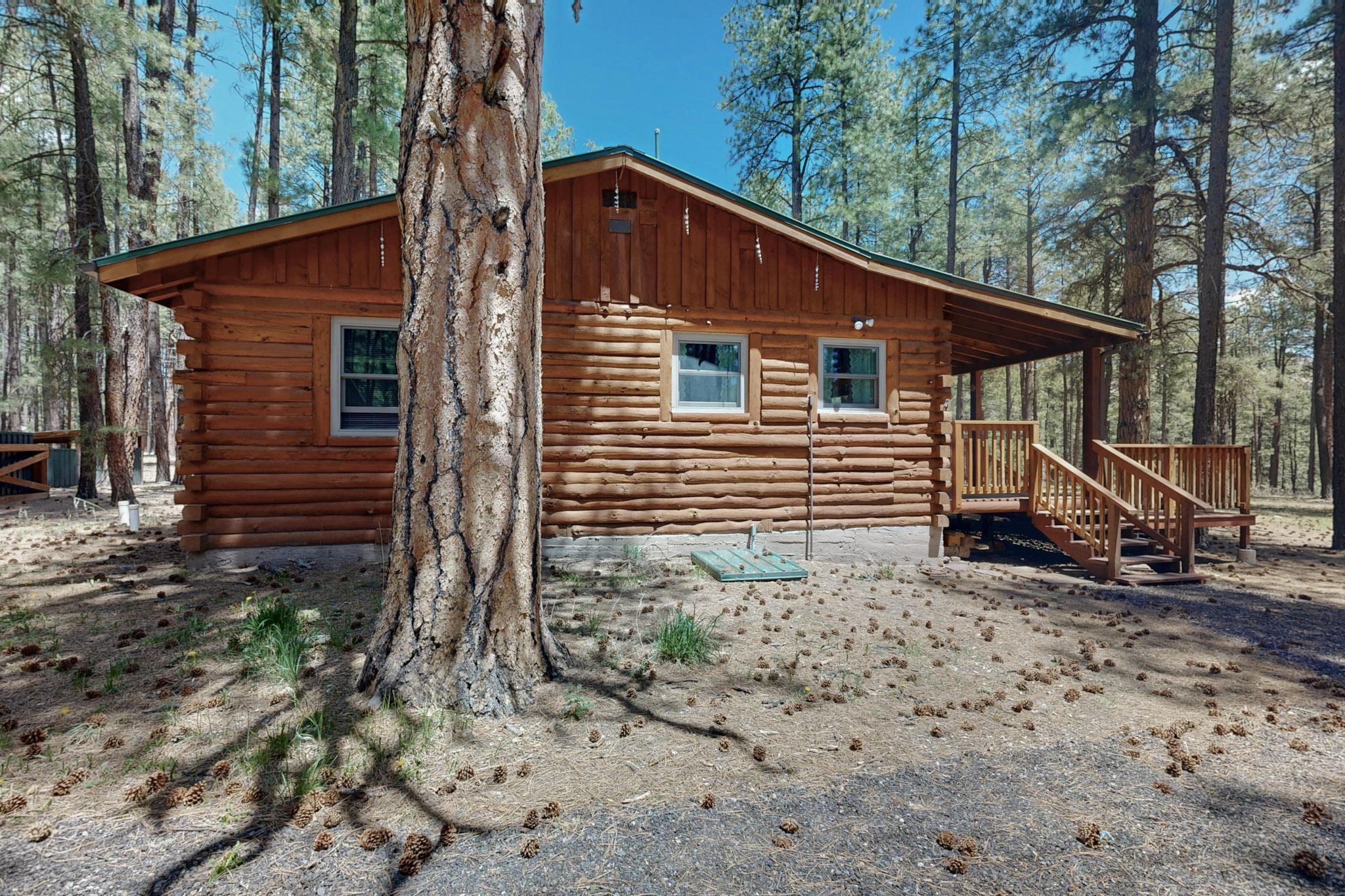 243 Ponderosa Place, Jemez Springs, New Mexico image 43
