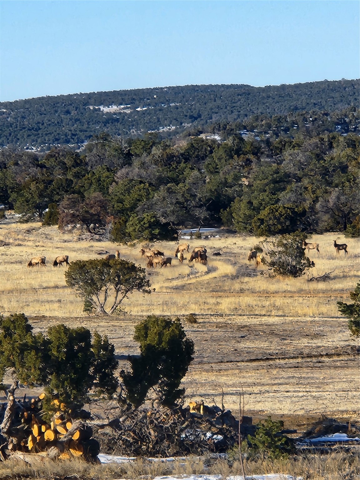 36 La Tinaja Trail Trl, Ramah, New Mexico image 35