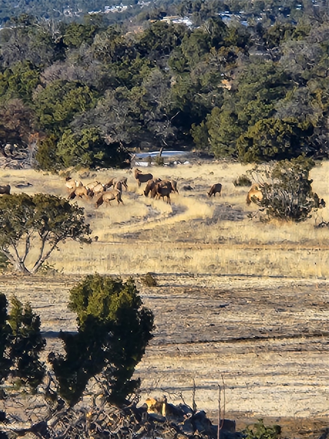 36 La Tinaja Trail Trl, Ramah, New Mexico image 3