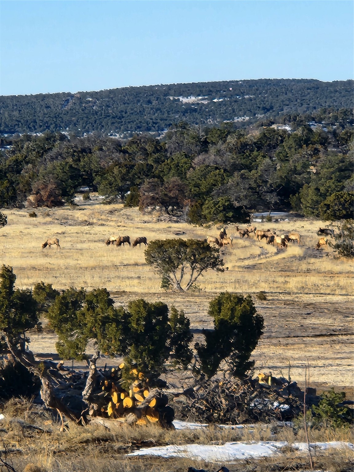 36 La Tinaja Trail Trl, Ramah, New Mexico image 37