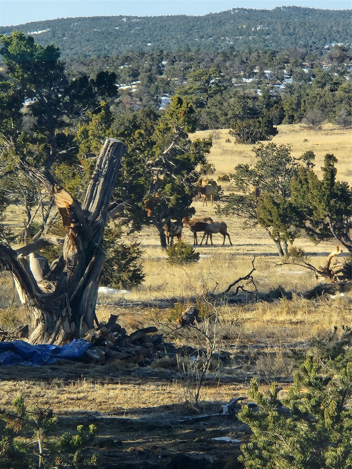 36 La Tinaja Trail Trl, Ramah, New Mexico image 38