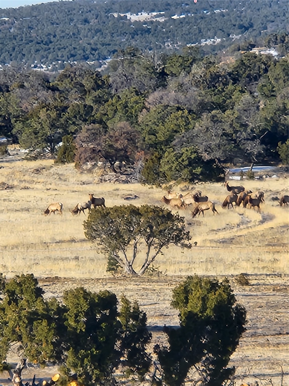 36 La Tinaja Trail Trl, Ramah, New Mexico image 36