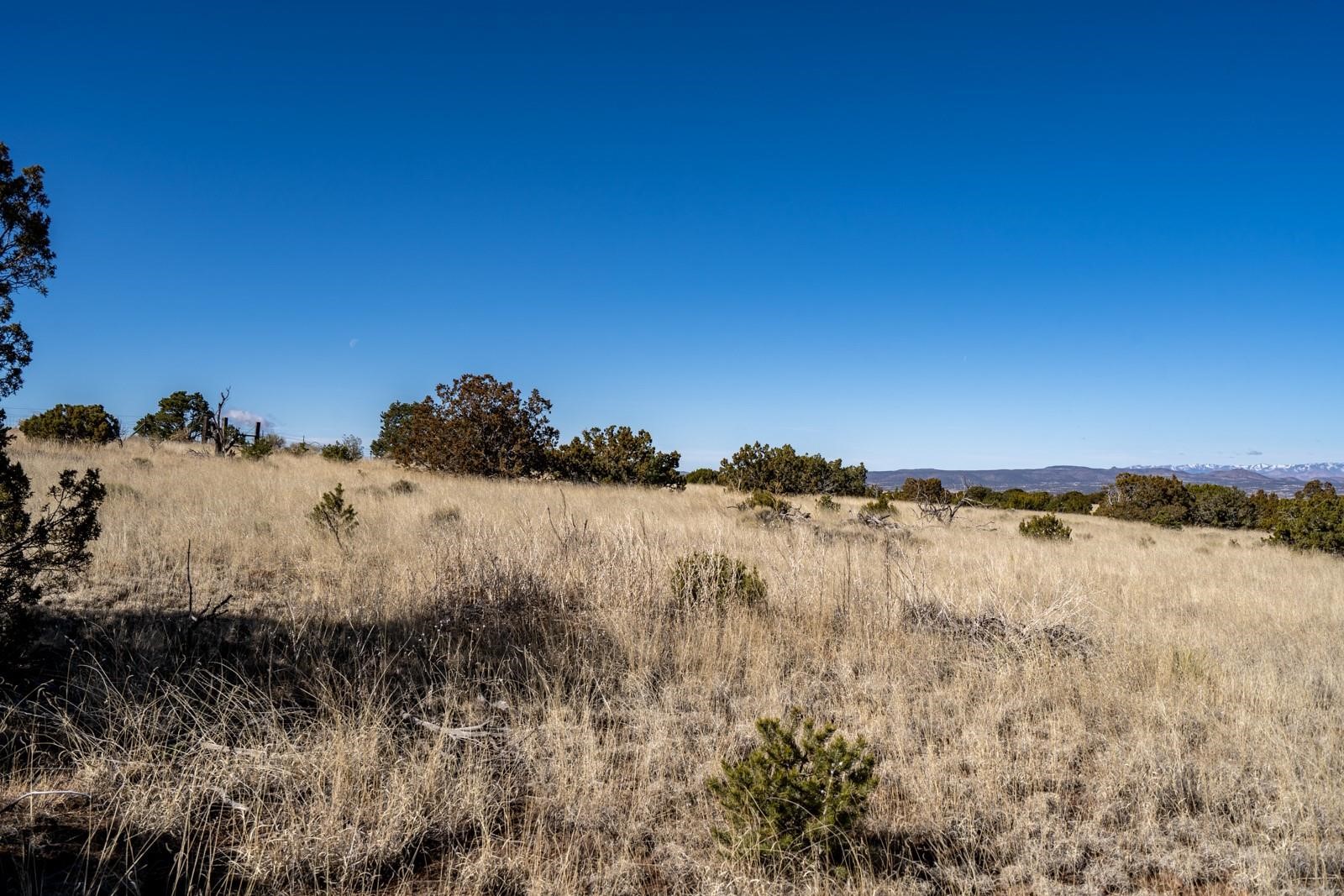 Buckman Road, Santa Fe, New Mexico image 12