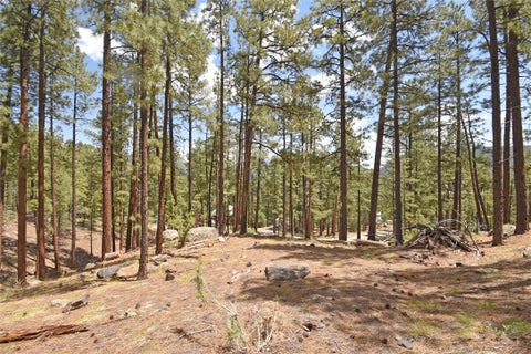 Vacant Land For Sale - LOT 6A Cool Pines<br/> Sandoval County, Jemez Springs, NM 87025