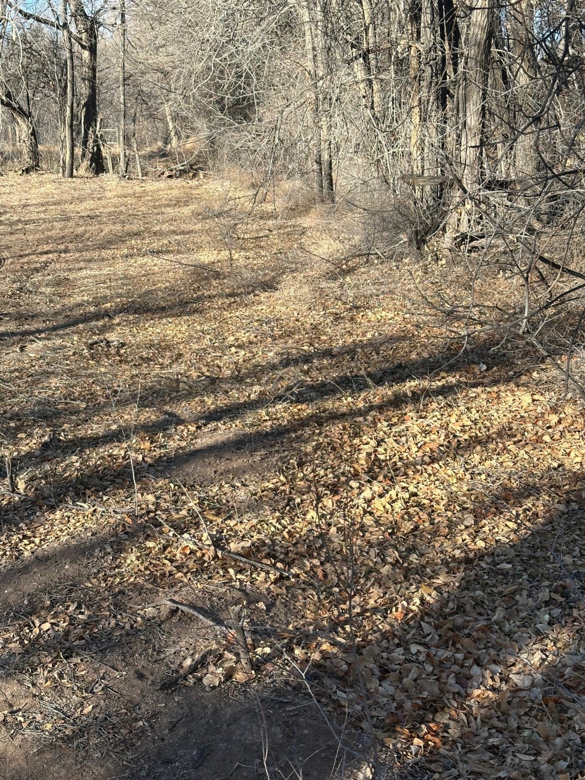 TBD Simmons Lane, Espanola, New Mexico image 10