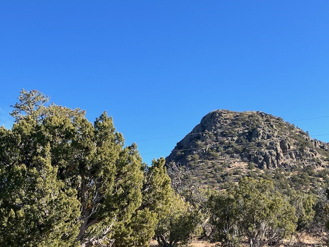 Lots 56 & 57 Mujeres Circle, Quemado, New Mexico image 9