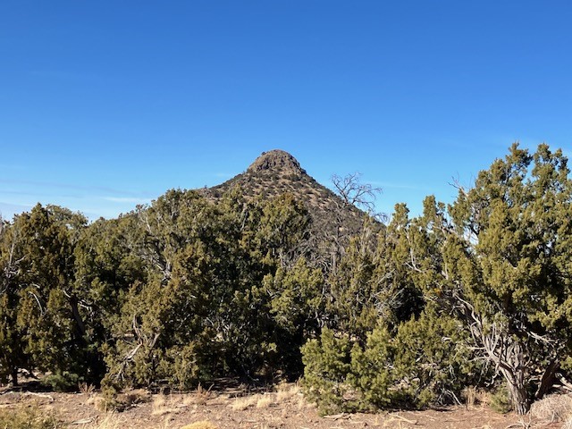 Lots 56 & 57 Mujeres Circle, Quemado, New Mexico image 8