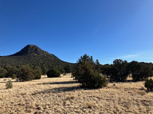 Lots 56 & 57 Mujeres Circle, Quemado, New Mexico image 15