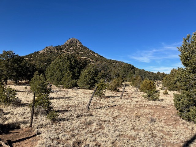 Lots 56 & 57 Mujeres Circle, Quemado, New Mexico image 18