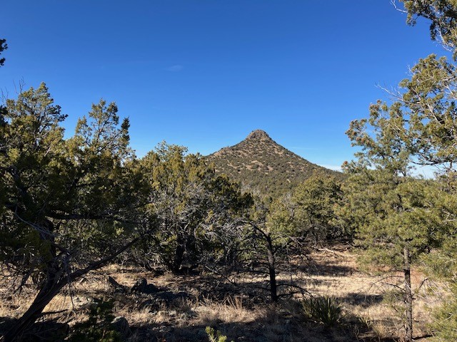 Lots 56 & 57 Mujeres Circle, Quemado, New Mexico image 2