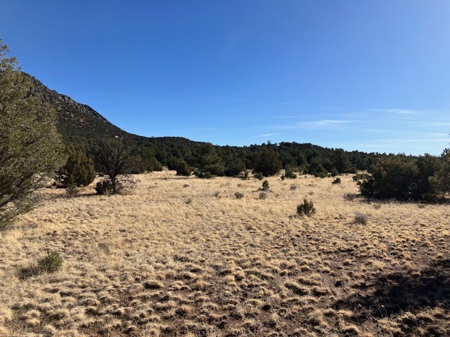 Lots 56 & 57 Mujeres Circle, Quemado, New Mexico image 14