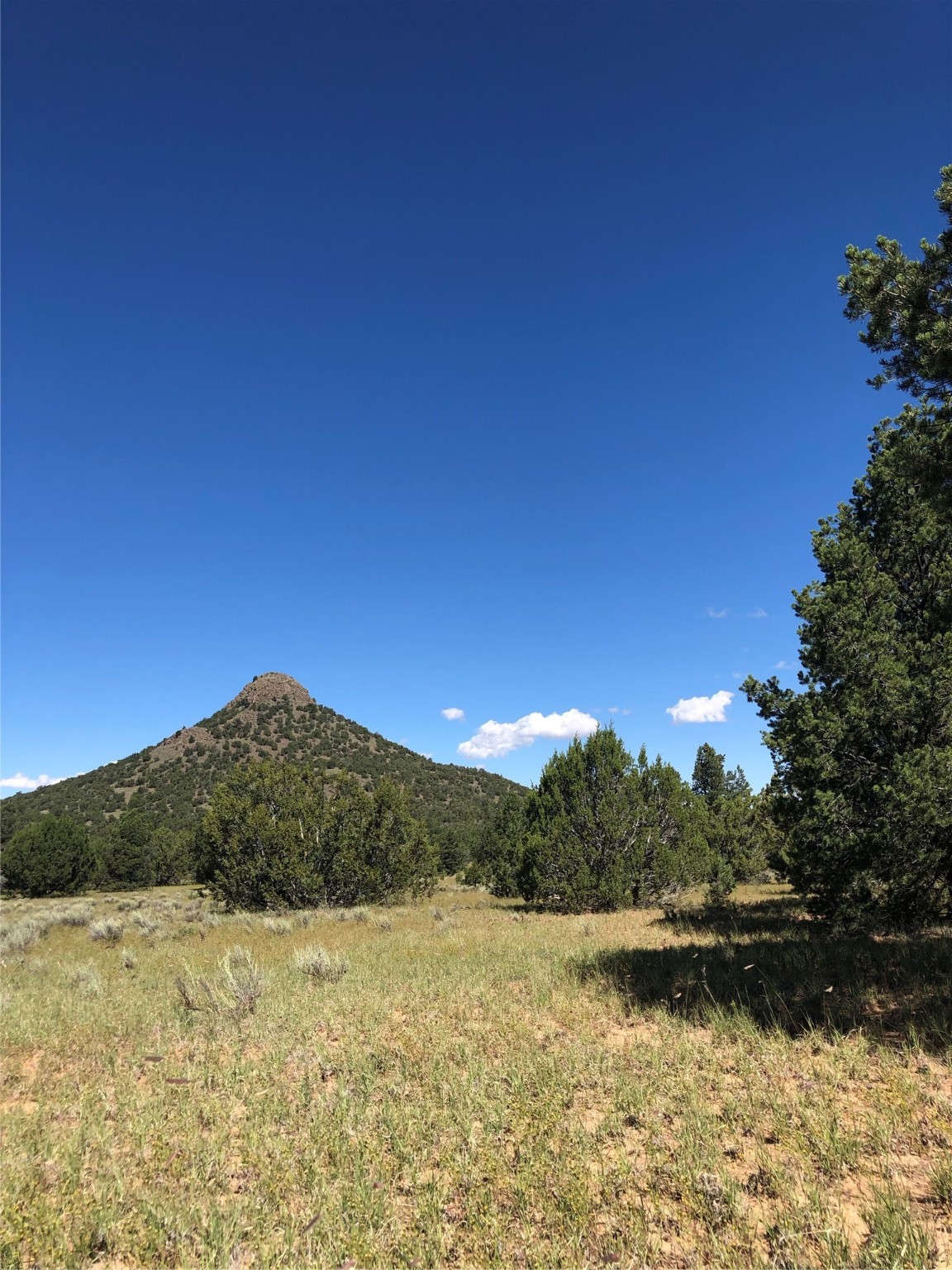 Lots 56 & 57 Mujeres Circle, Quemado, New Mexico image 4