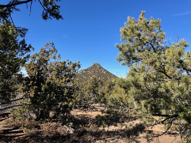 Lots 56 & 57 Mujeres Circle, Quemado, New Mexico image 11