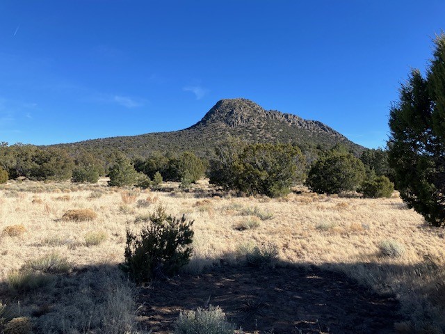 Lots 56 & 57 Mujeres Circle, Quemado, New Mexico image 13