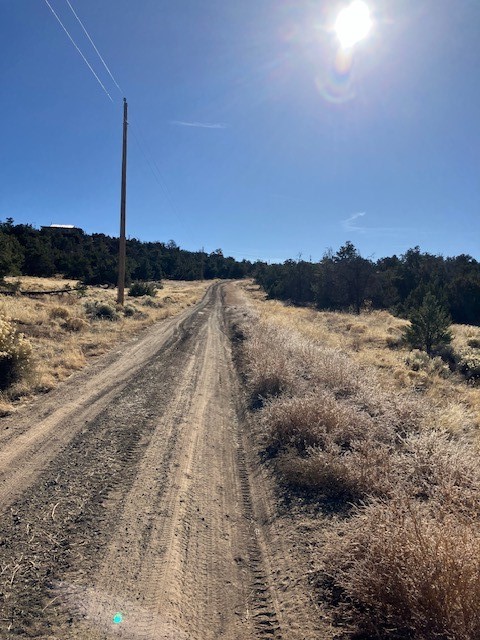 Lots 56 & 57 Mujeres Circle, Quemado, New Mexico image 24