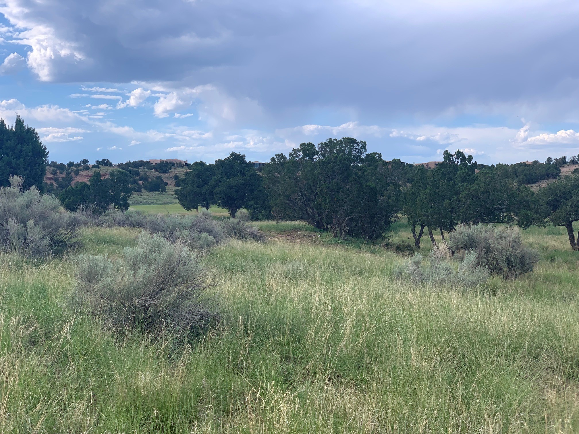 4 Plaza Lopez Lot 29, Santa Fe, New Mexico image 4