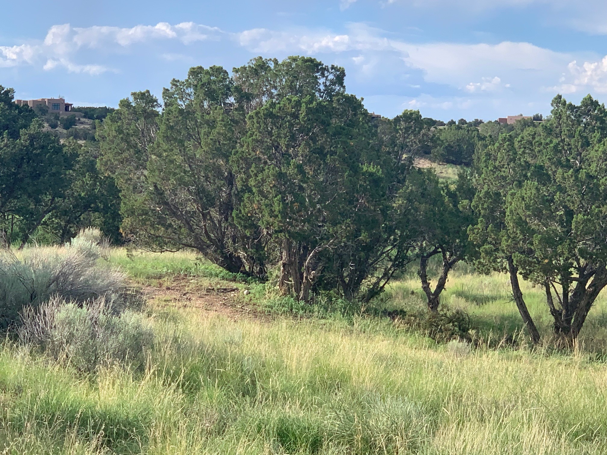 4 Plaza Lopez Lot 29, Santa Fe, New Mexico image 10