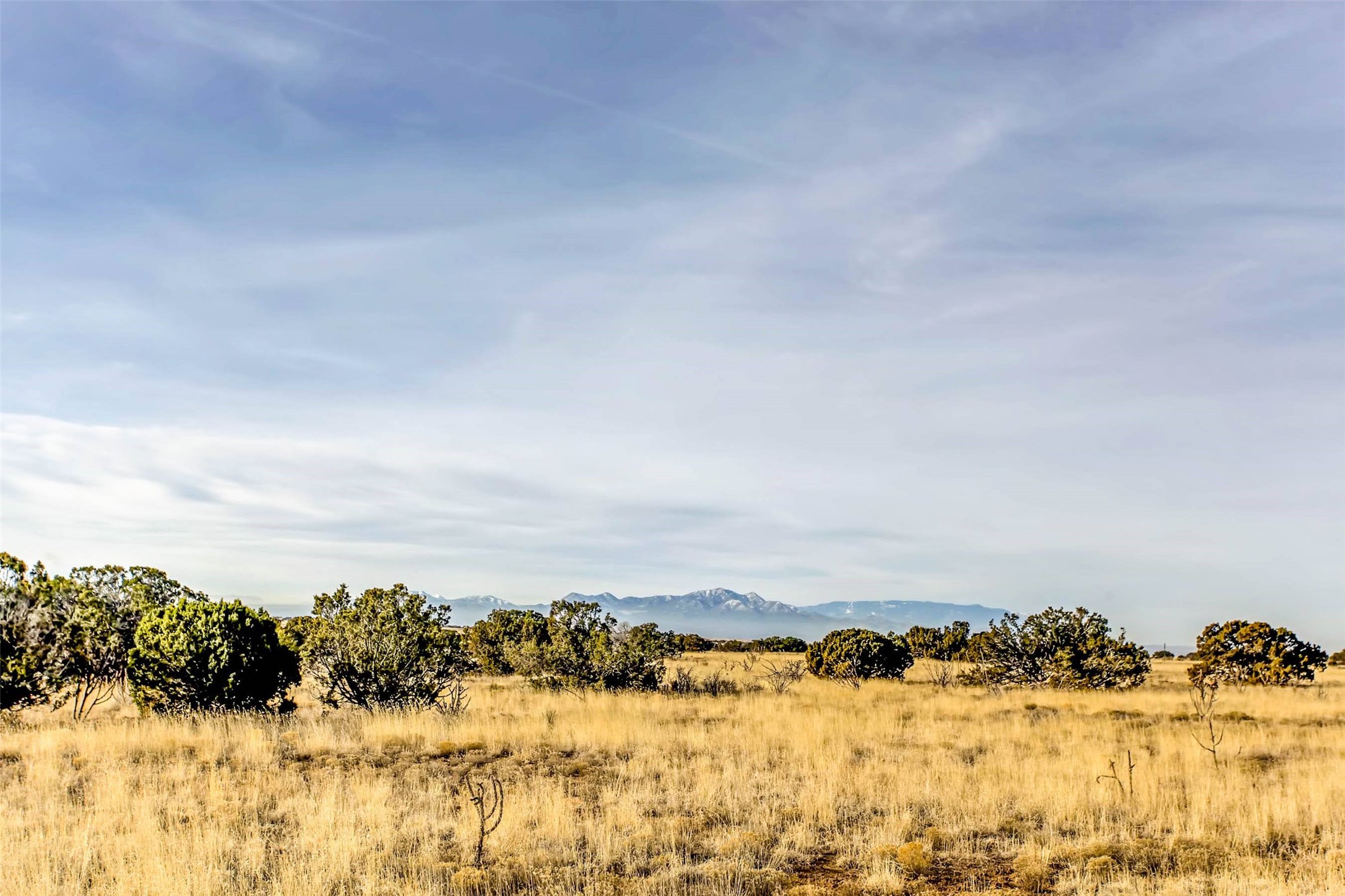 Tren Via, Santa Fe, New Mexico image 3