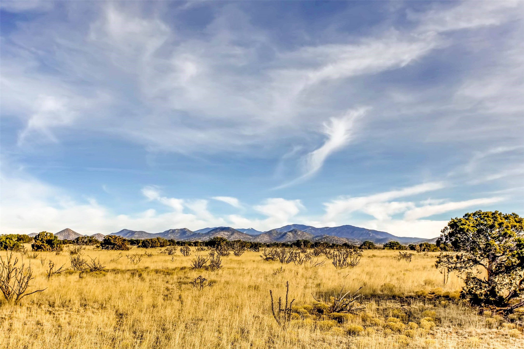 Tren Via, Santa Fe, New Mexico image 16