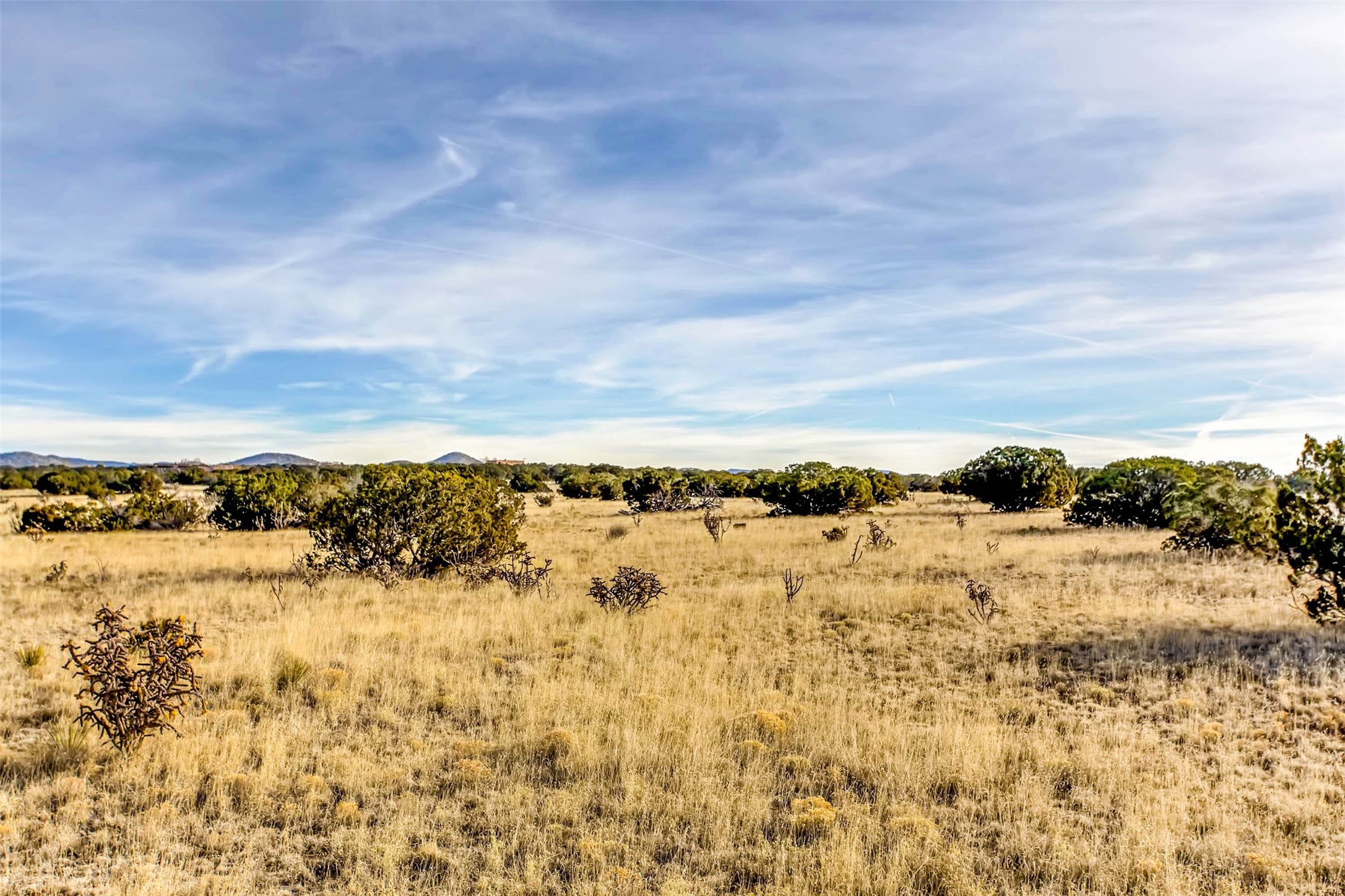 Tren Via, Santa Fe, New Mexico image 14